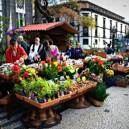 In 3n * Funchal (Madeira)