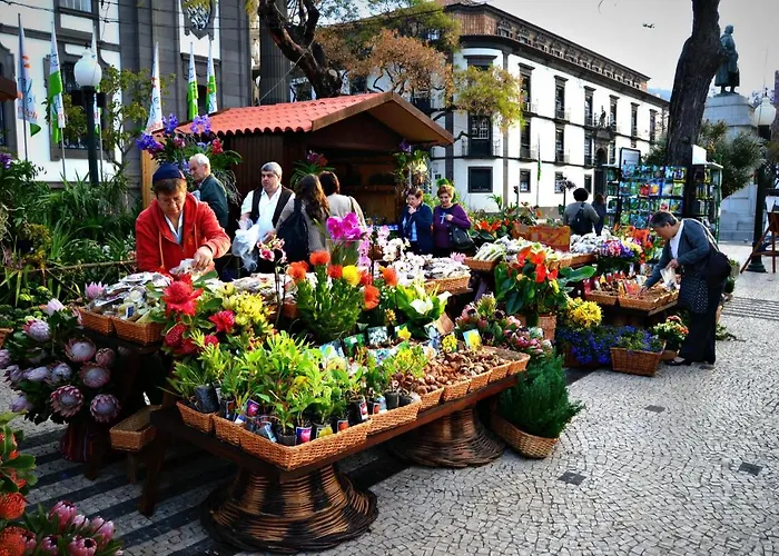In 3n * Funchal (Madeira)